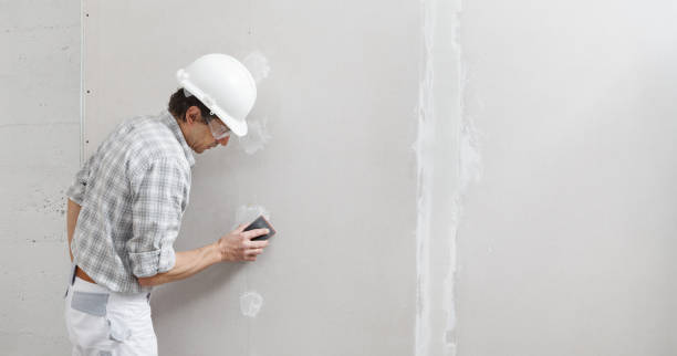Best Mold-Related Health Consultation  in Wales, WI