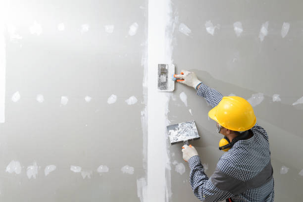 Best Emergency Mold Remediation  in Wales, WI