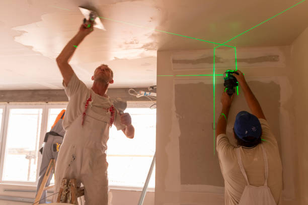Best Asbestos and Lead Testing During Mold Inspection  in Wales, WI