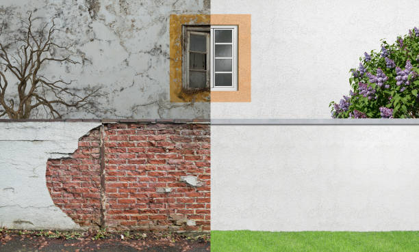 Best Real Estate Mold Inspection  in Wales, WI