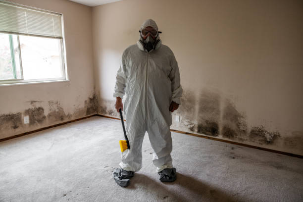 Mold Remediation for Vacation Homes in Wales, WI